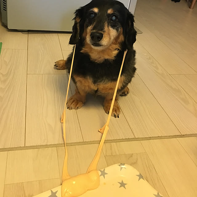 ohanaさんの実例写真