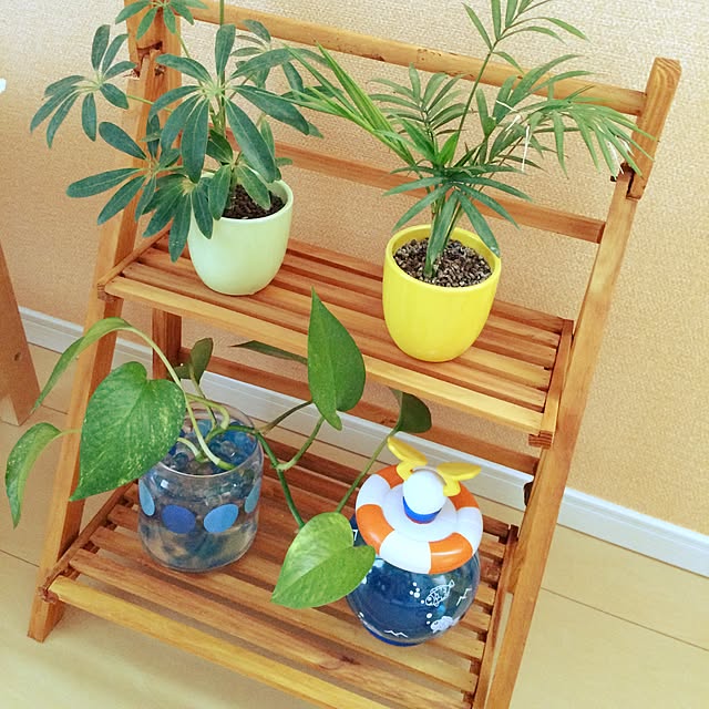 akoooさんの実例写真