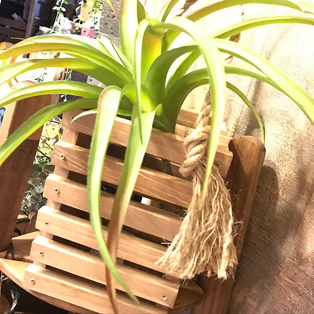 nonpiiiさんの実例写真