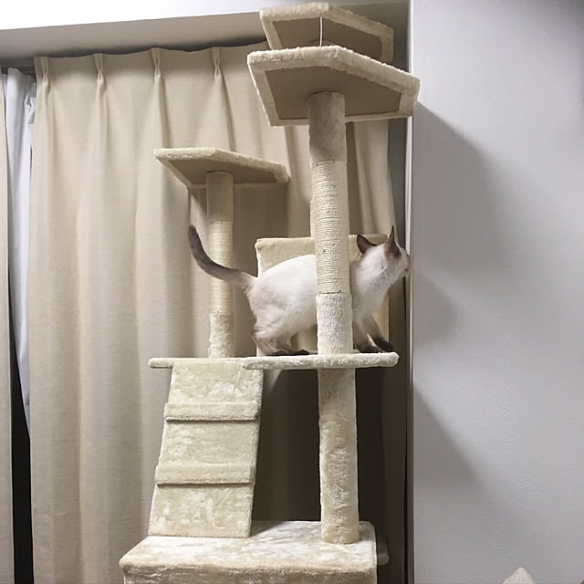 GomashioMkさんの実例写真
