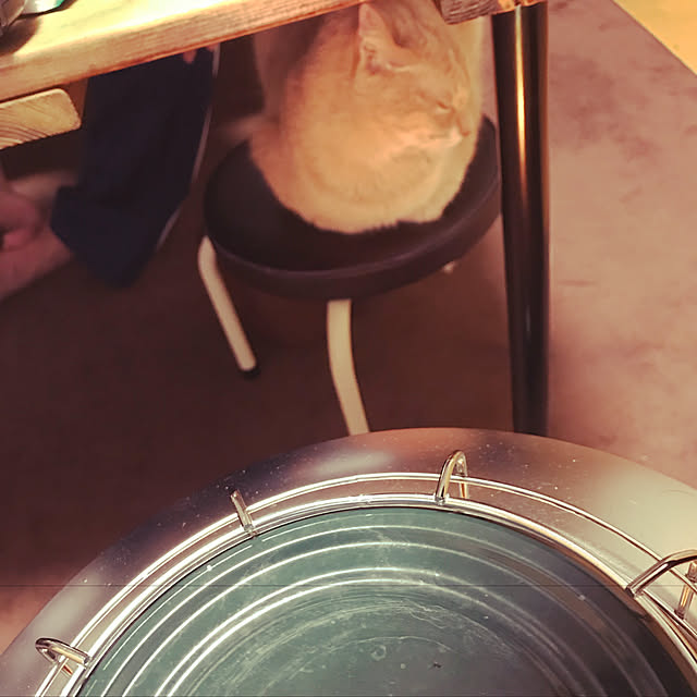 mikan161さんの実例写真