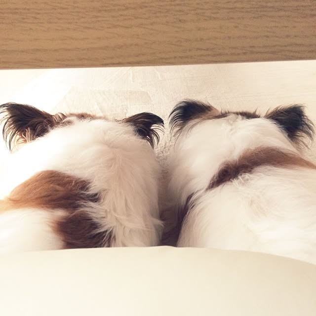 marooooonさんの実例写真
