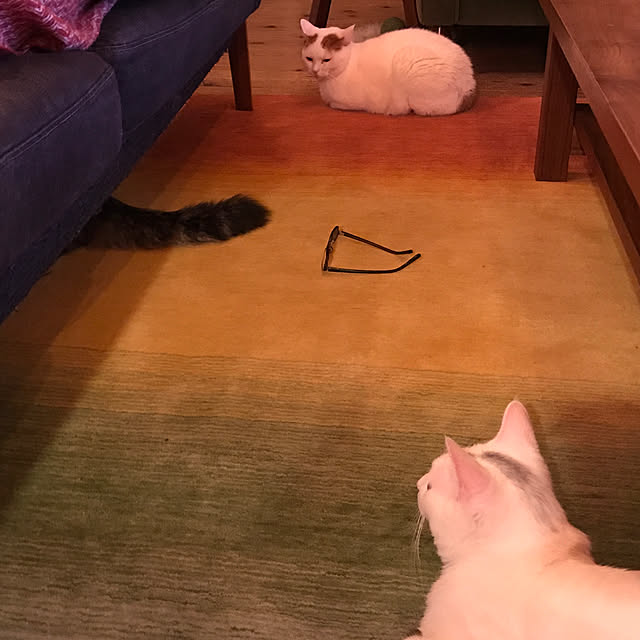 sakurasakuさんの実例写真