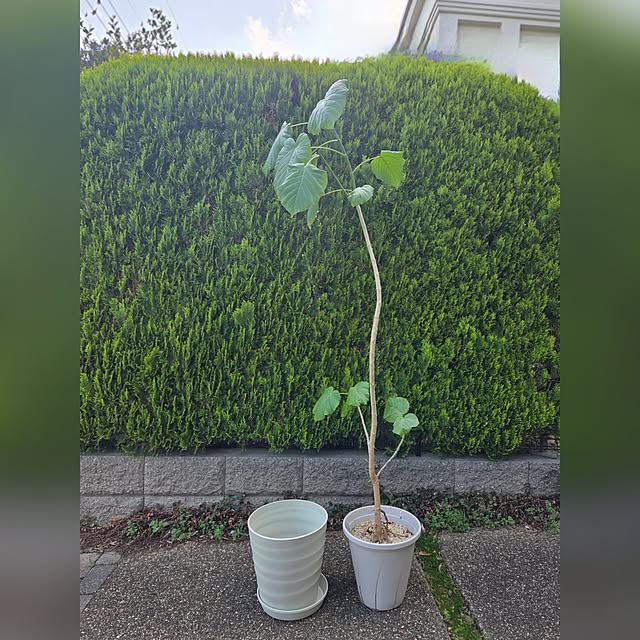 MARIE.color.interiorさんの実例写真