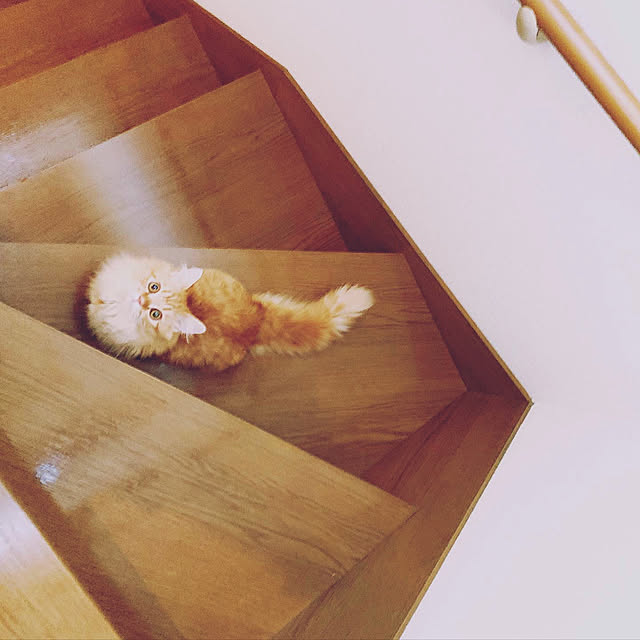 HULAさんの実例写真