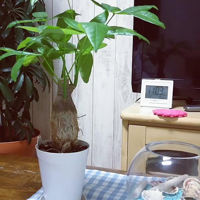 naopyiさんの実例写真