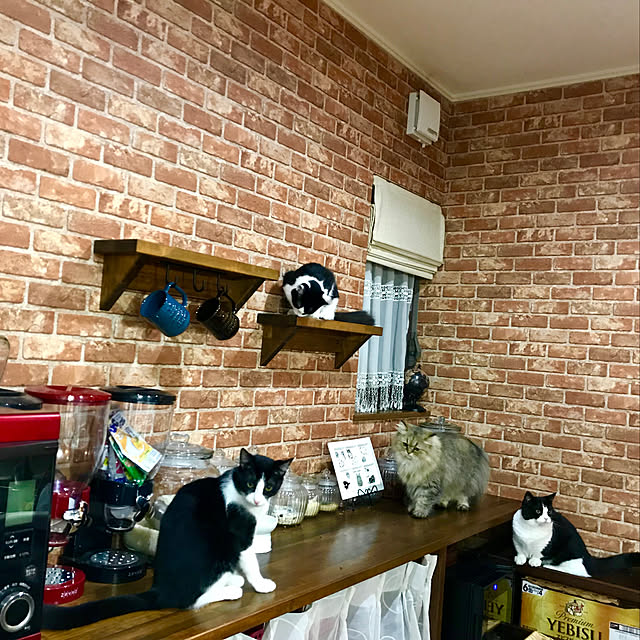 butachanさんの実例写真