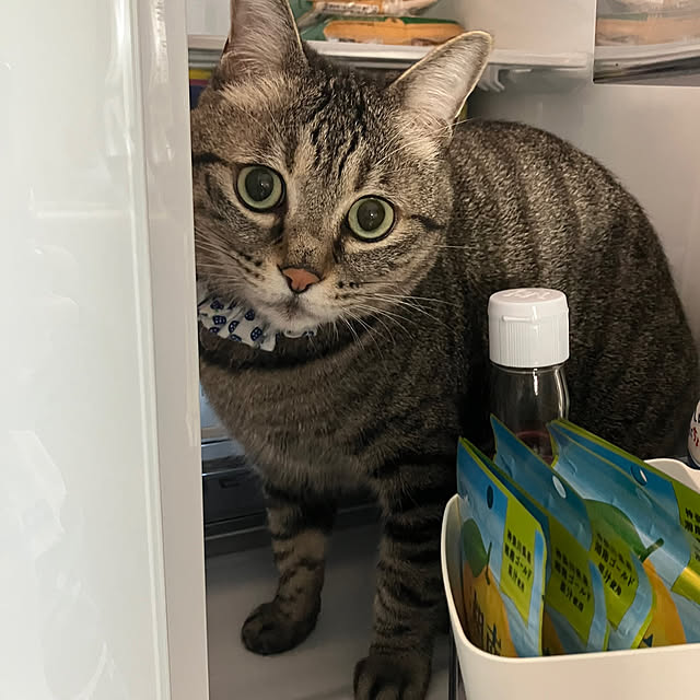 ronさんの実例写真