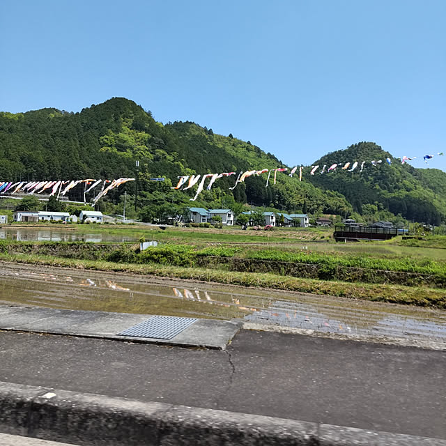 実例写真