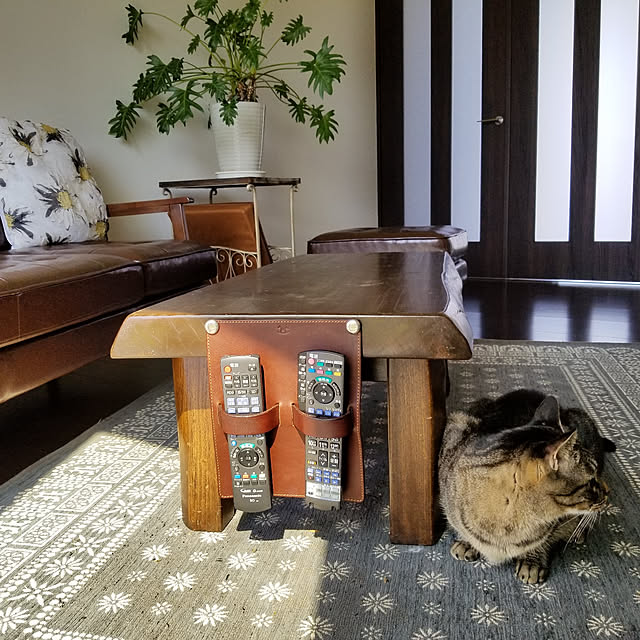 ymmtさんの実例写真