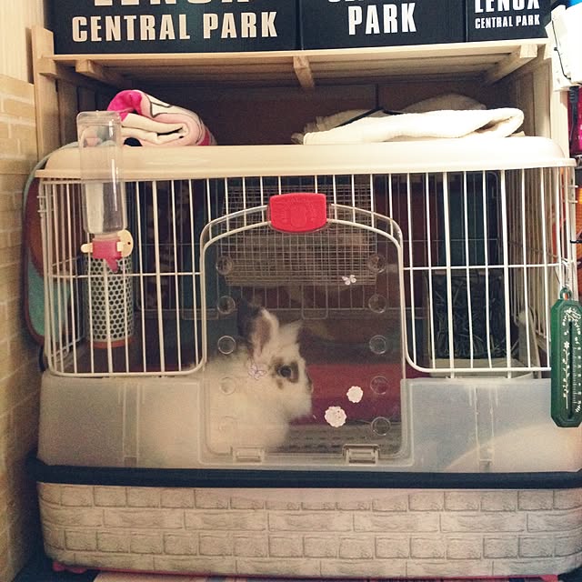 mokaraiさんの実例写真