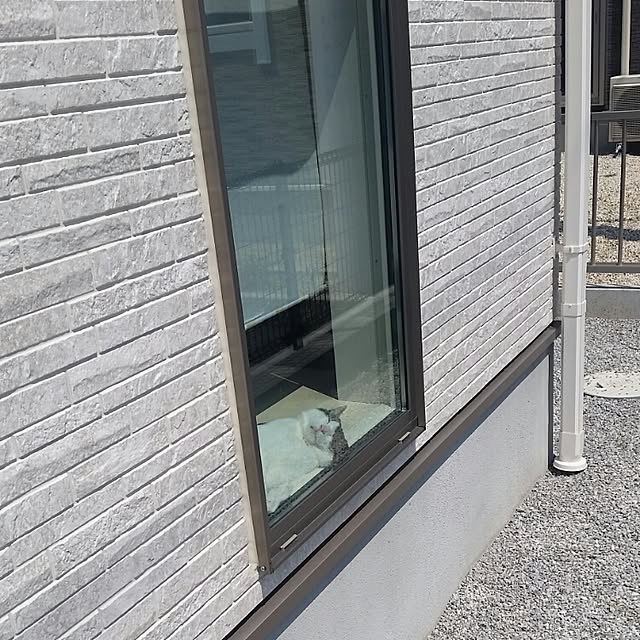 runayucoさんの実例写真
