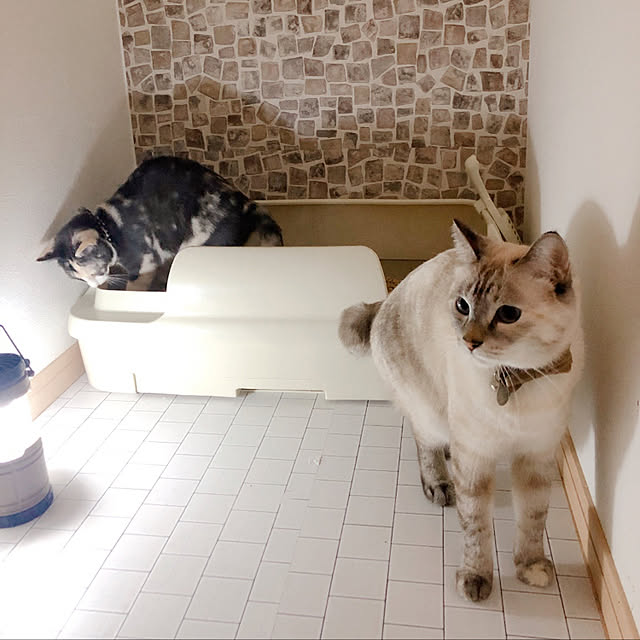 tomoyoさんの実例写真