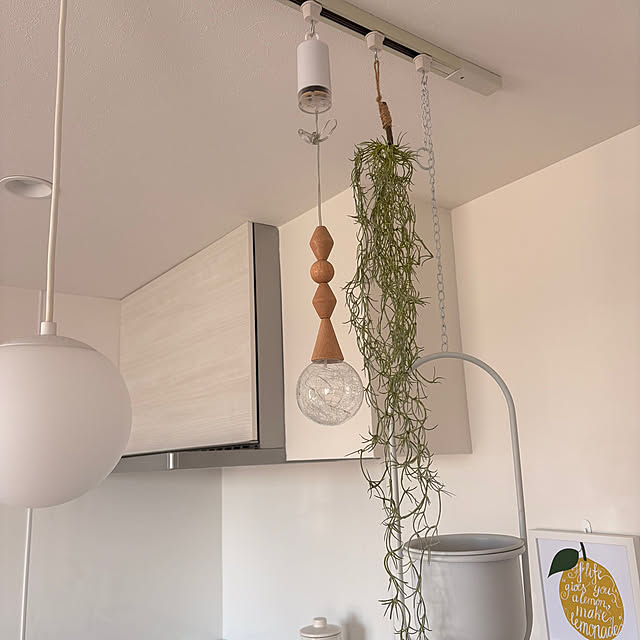 safariさんの実例写真