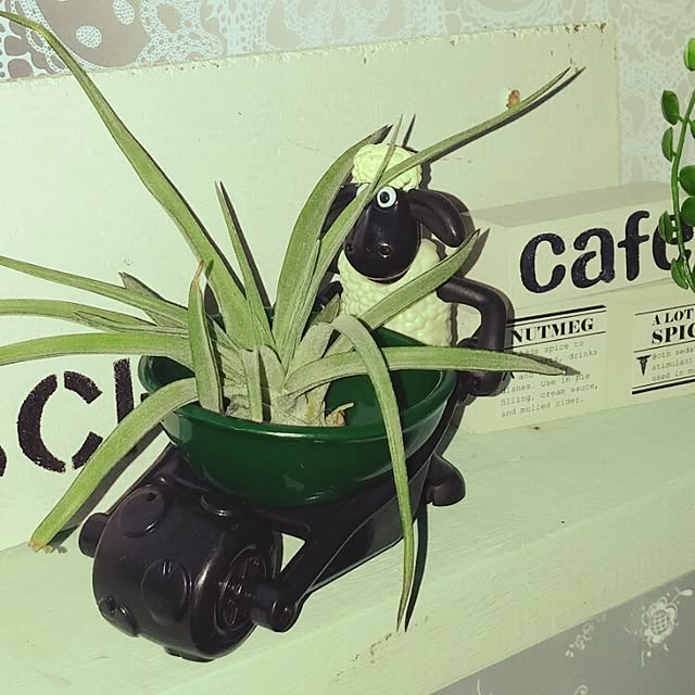 springkeyさんの実例写真