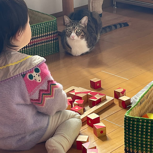nobikoさんの部屋