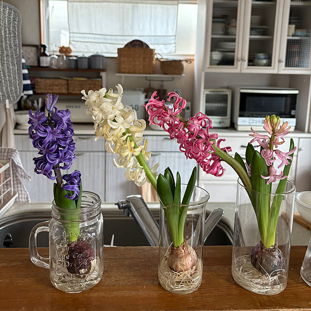 yokoさんの実例写真