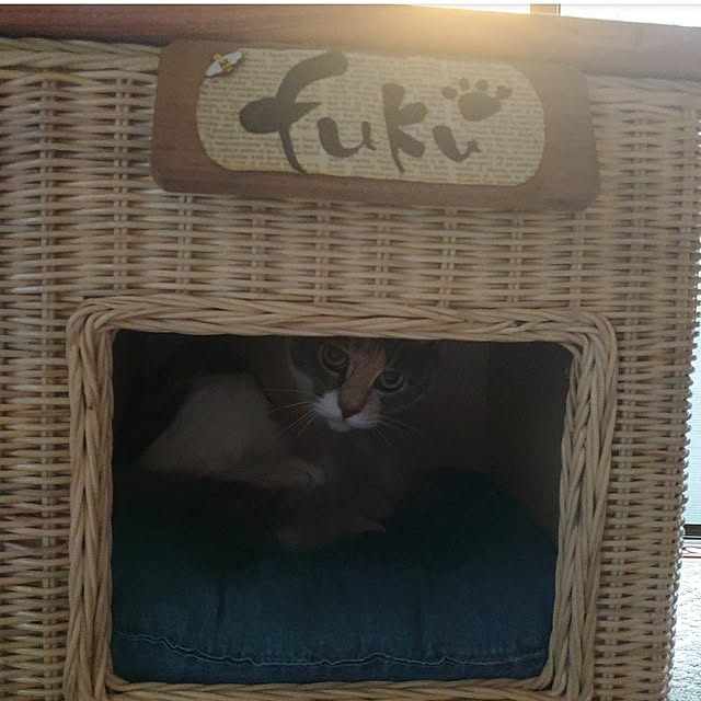 fukuさんの部屋