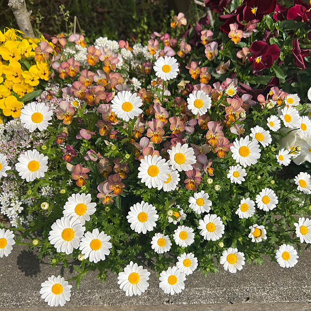 nannoさんの実例写真
