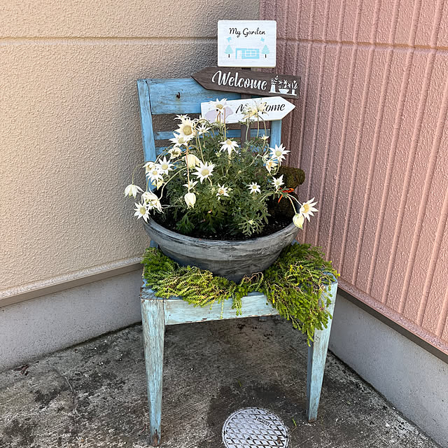 pekoさんの部屋