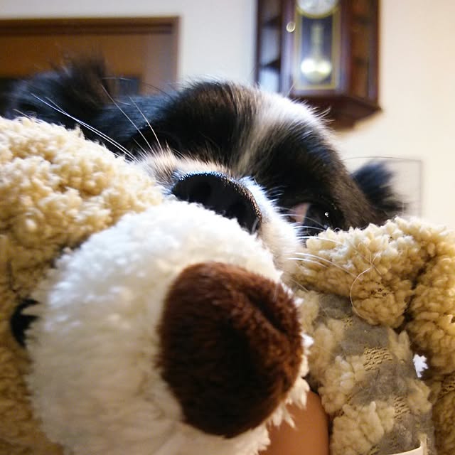 Smileberryさんの実例写真