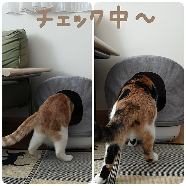 koyurizuさんの実例写真