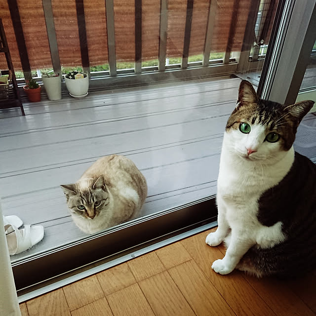 nachiさんの実例写真