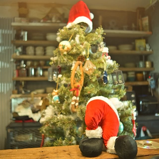 CYNOSさんの実例写真