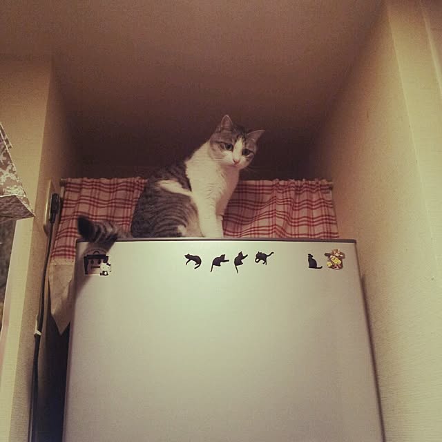 emmyyさんの実例写真