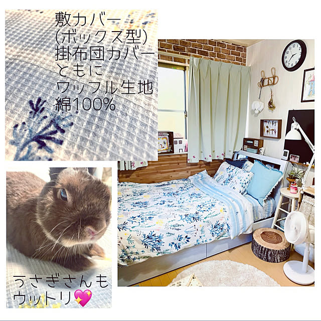 mo-nosukeさんの実例写真
