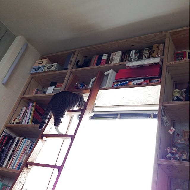 infobar12さんの実例写真
