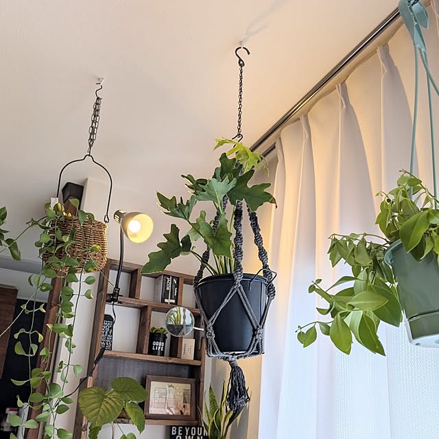 lovepeaceさんの部屋