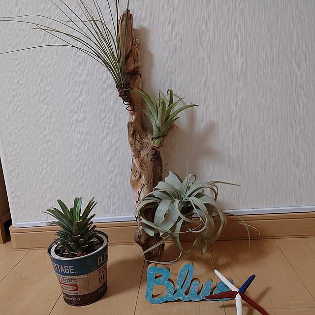 takabooさんの実例写真