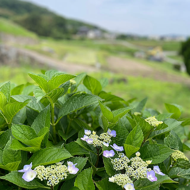 buchiさんの部屋