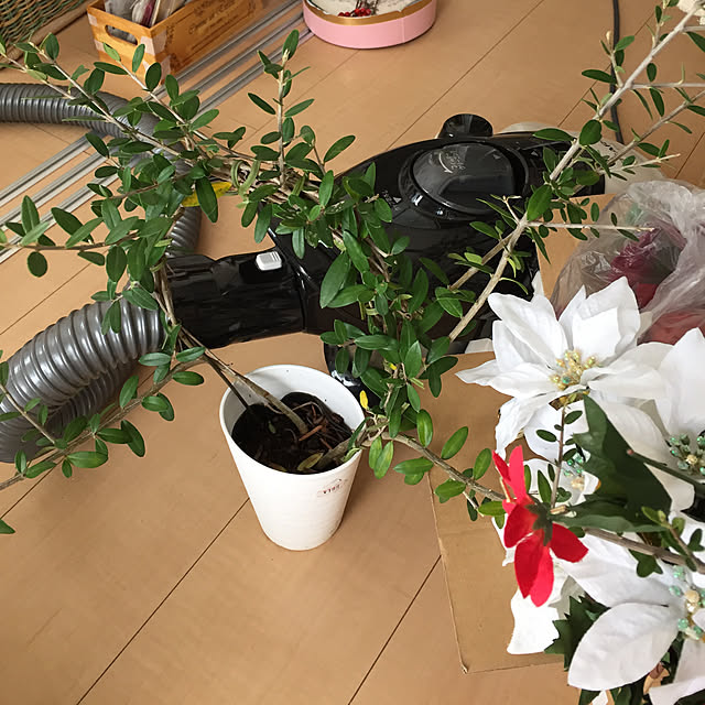 emiさんの実例写真