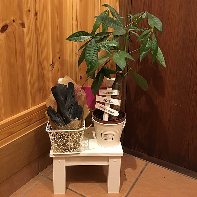 shihtzu_daisukiさんの実例写真