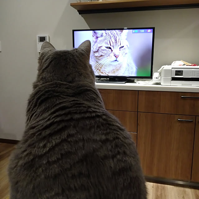 tomokoさんの実例写真