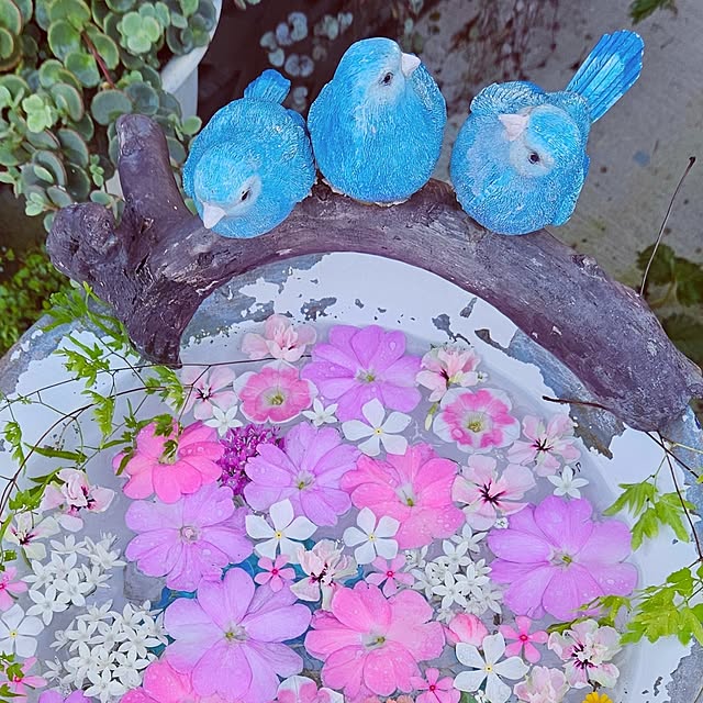 mocomocoさんの部屋