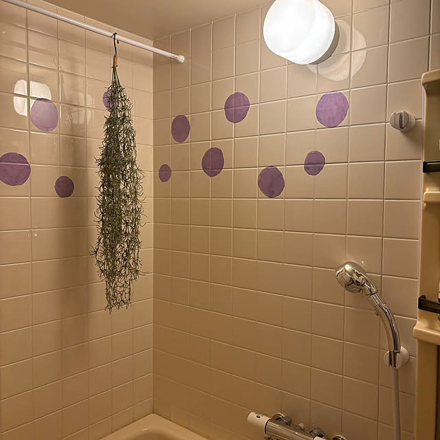 canetteさんの実例写真