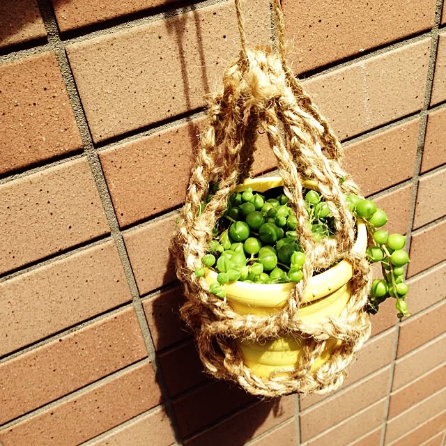 Mieさんの実例写真