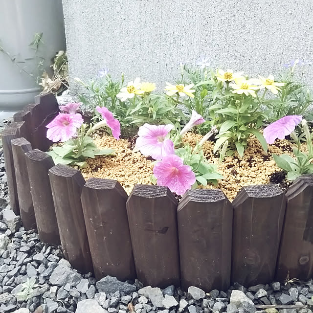 kiraさんの実例写真