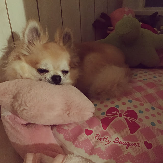 konomi513さんの実例写真