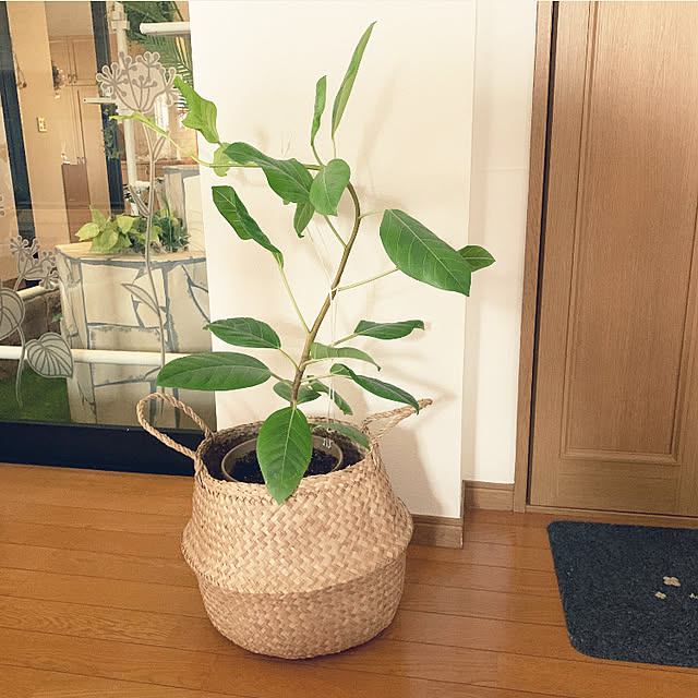 yumi.fさんの部屋