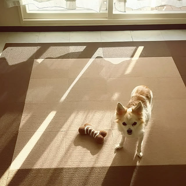 nonさんの実例写真