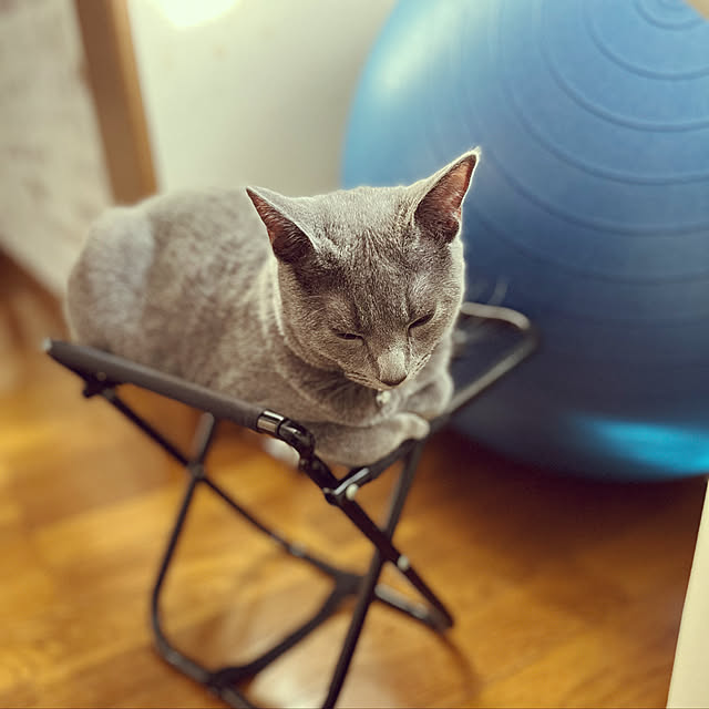 kyonさんの実例写真