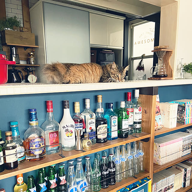 gachaさんの部屋
