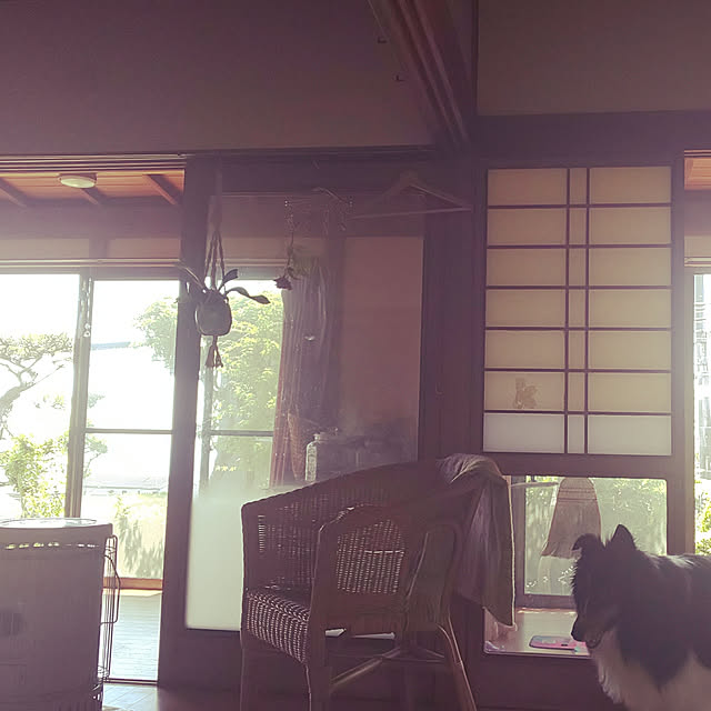 --rnrmm--さんの実例写真
