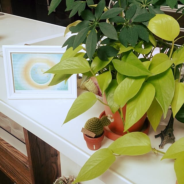 キッチン/パステルアート*/植物/ハンドメイド/100均...などのインテリア実例 - 2016-04-13 10:53:10