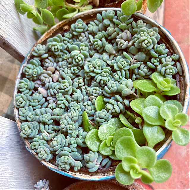 heidiさんの部屋