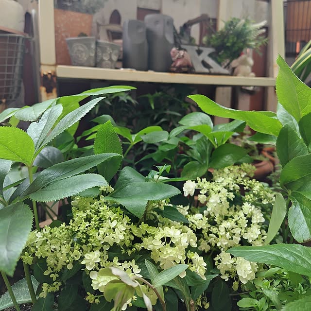 hiro3さんの部屋